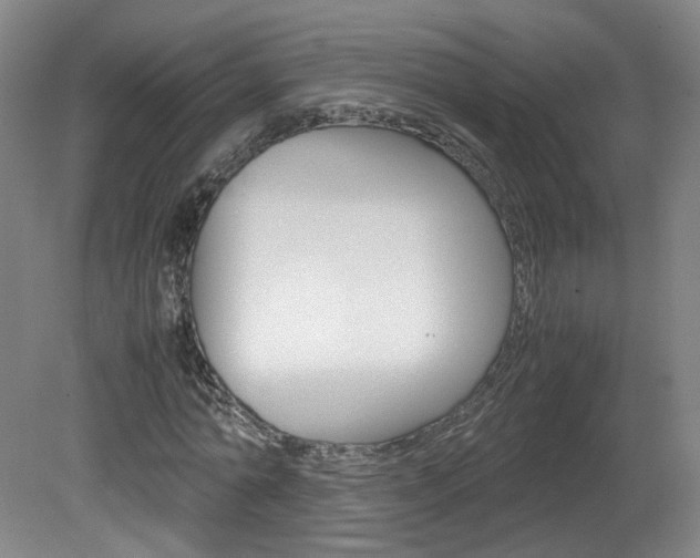 X0000082150774200701191023