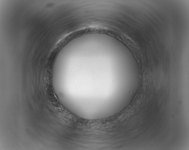 X0000082150776200701191022
