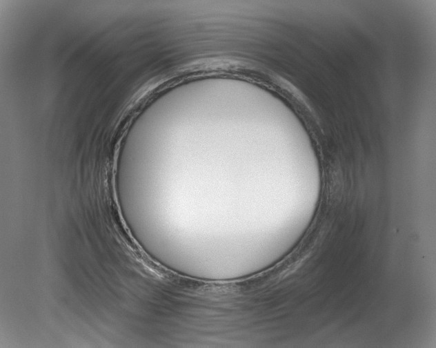 X0000082150778200701191022