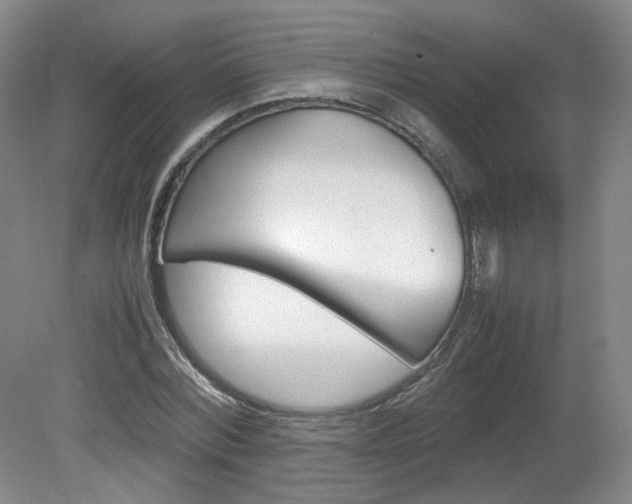 X0000082150780200701191022