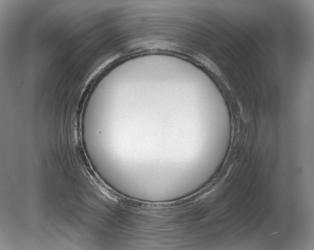 X0000082150782200701191022