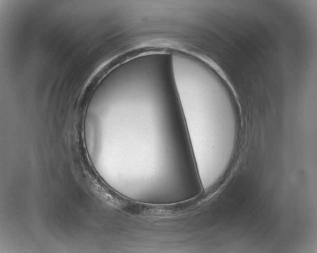 X0000082150783200701191022