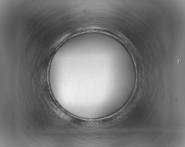 X0000082150785200701191022