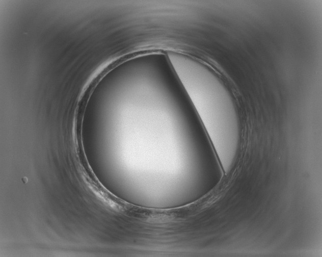 X0000082150788200701191022