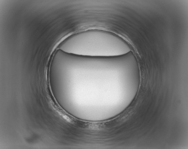 X0000082150790200701191022