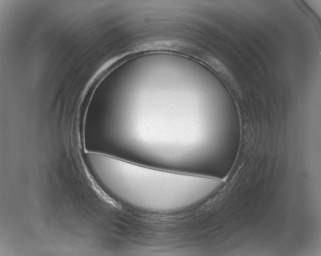 X0000082150792200701191022