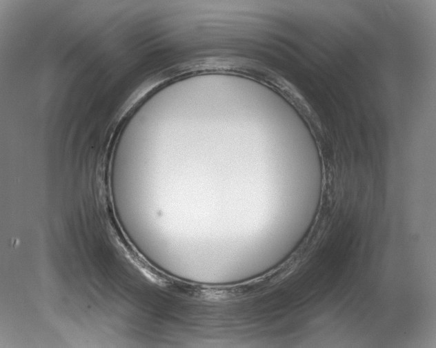 X0000082150794200701191022