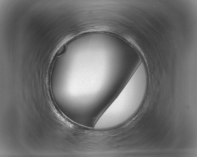 X0000082150797200701191022