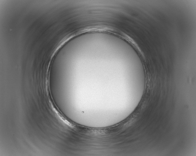X0000082150802200701191022