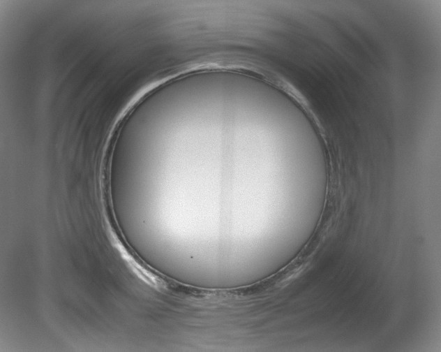 X0000082150803200701191022