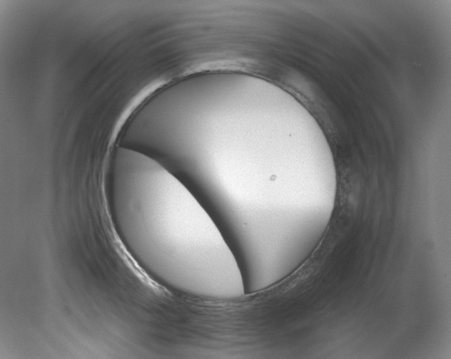 X0000082150804200701191022