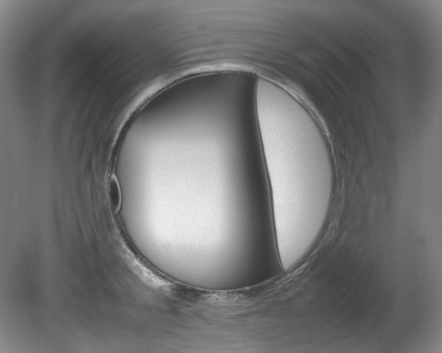 X0000082150805200701191022