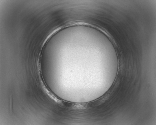 X0000082150806200701191022