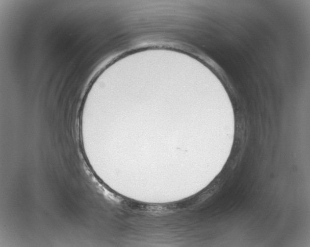X0000082150807200701191022