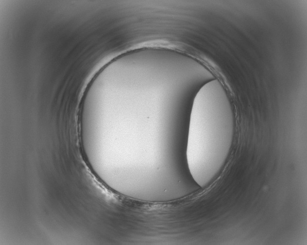 X0000082150808200701191022