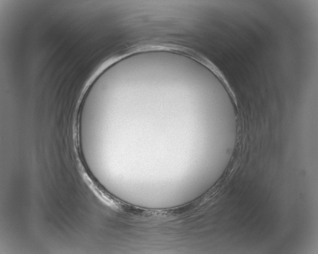 X0000082150811200701191022