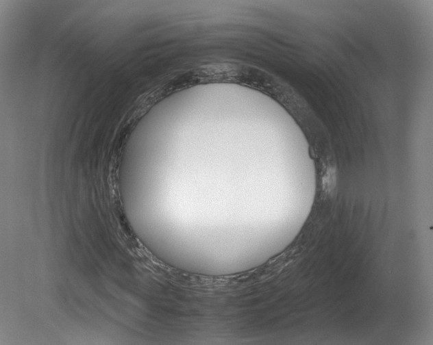X0000082150819200701191021