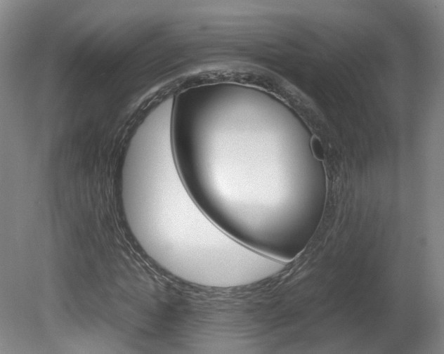 X0000082150822200701191021