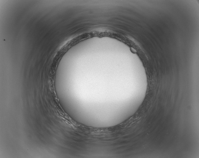 X0000082150823200701191021