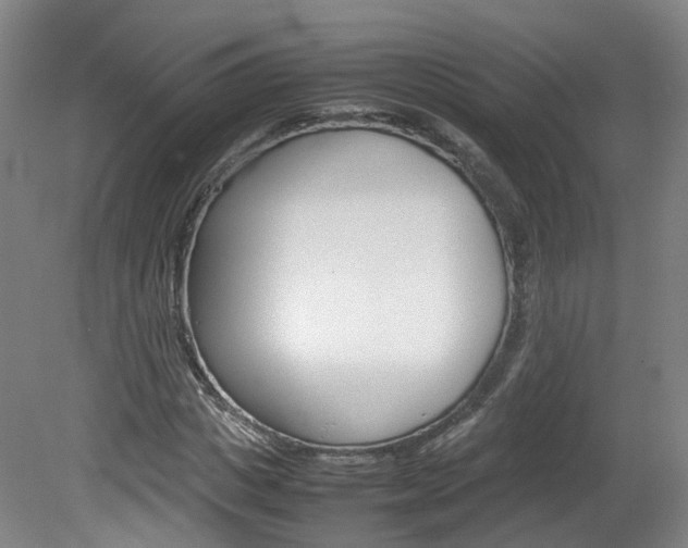 X0000082150825200701191021