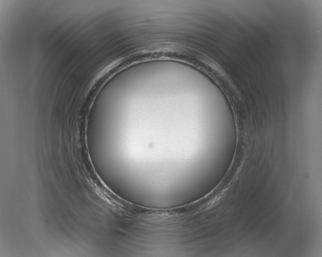 X0000082150826200701191021
