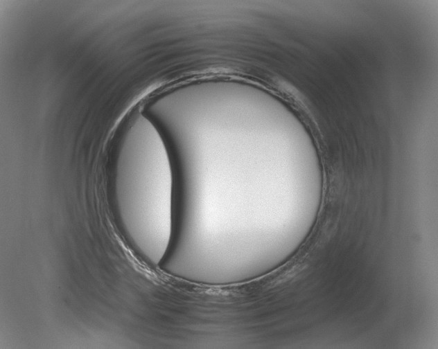 X0000082150827200701191021