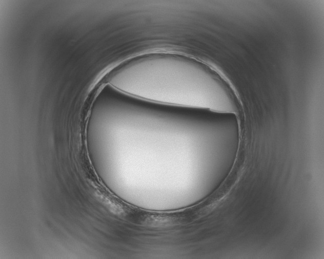 X0000082150829200701191021