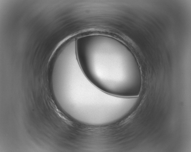 X0000082150830200701191021