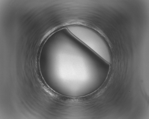 X0000082150834200701191021