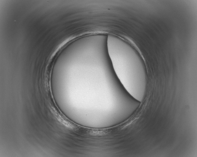 X0000082150835200701191021