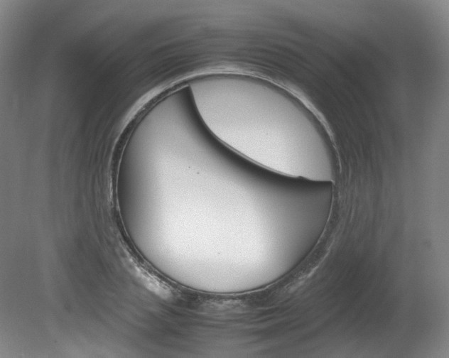 X0000082150837200701191021