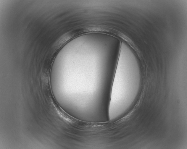X0000082150841200701191021
