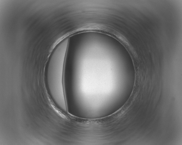 X0000082150842200701191021
