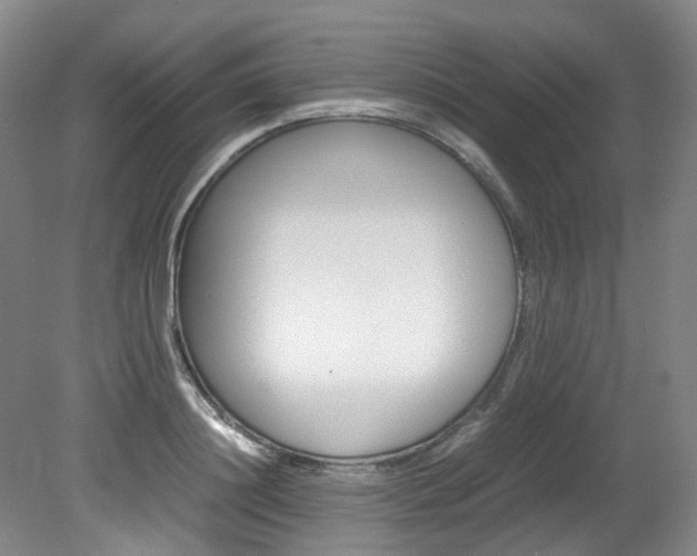 X0000082150844200701191021