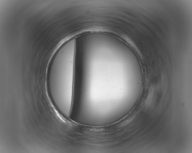 X0000082150845200701191021
