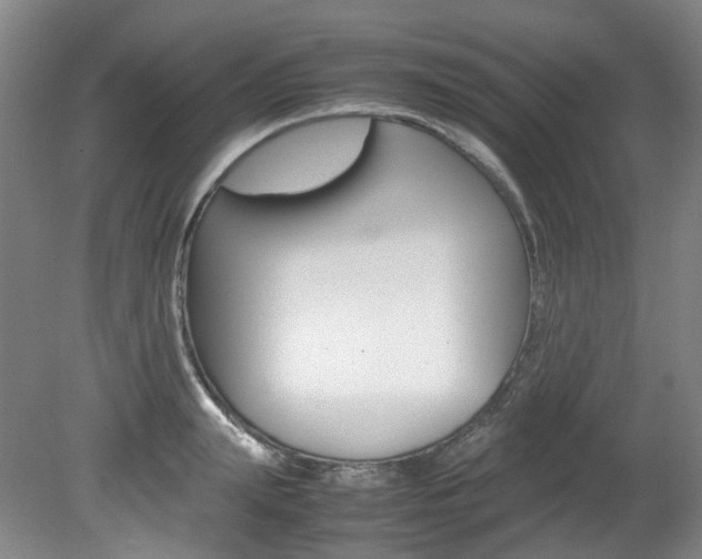 X0000082150847200701191021