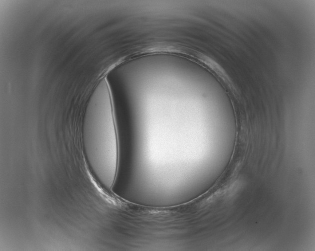X0000082150849200701191022