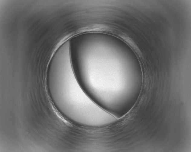 X0000082150850200701191022