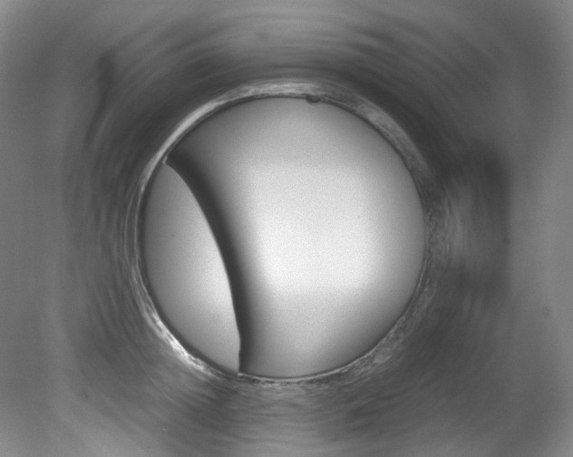 X0000082150852200701191022