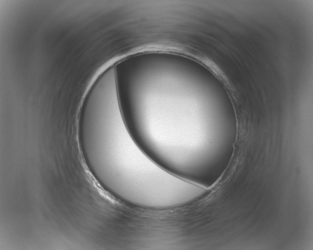 X0000082150854200701191022