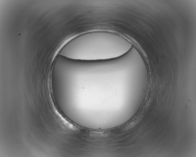 X0000082150855200701191022