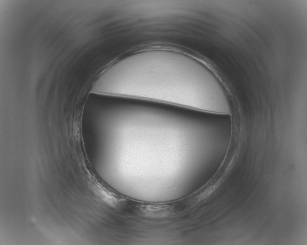 X0000082150857200701191022
