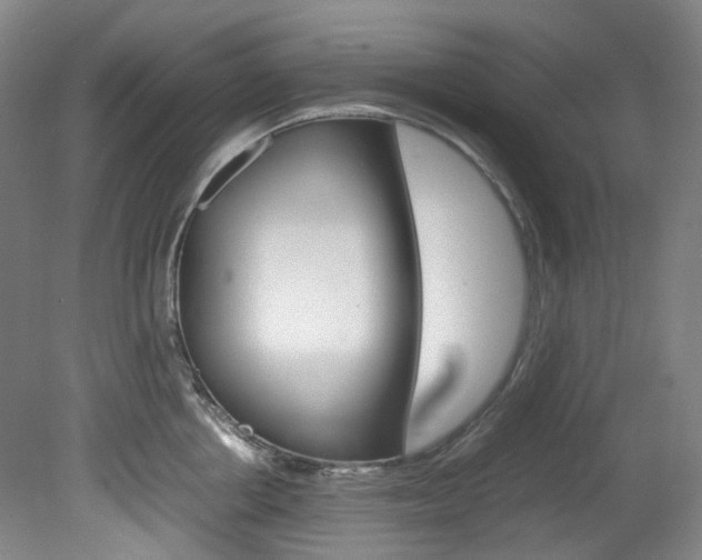 X0000082150858200701191022
