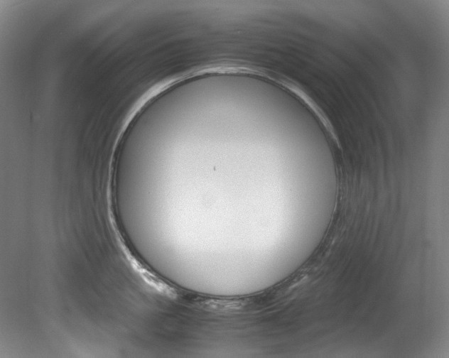 X0000082150861200701191022