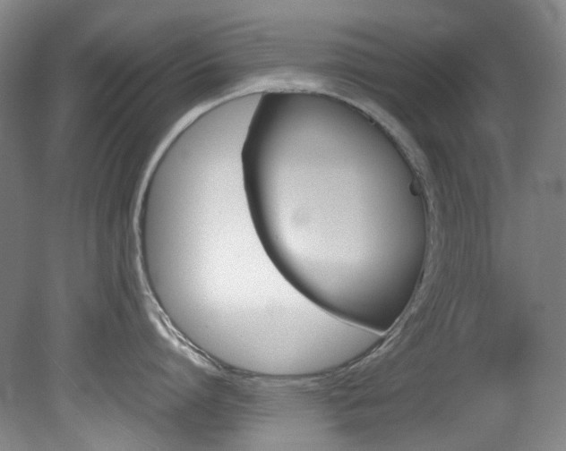 X0000082150864200701191022