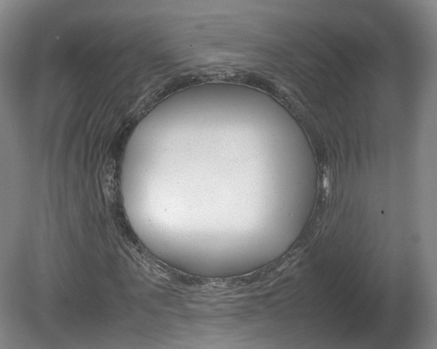 X0000082150867200701191021