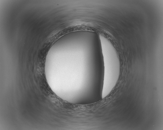 X0000082150869200701191021