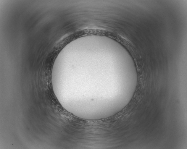 X0000082150870200701191021