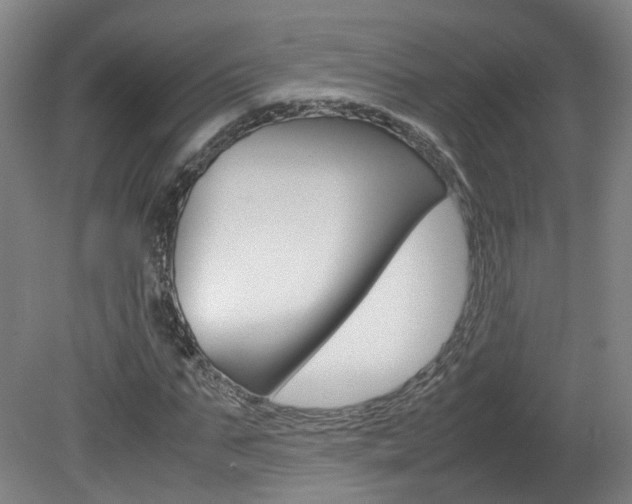 X0000082150871200701191021