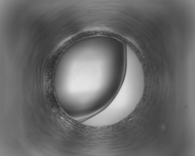 X0000082150872200701191021
